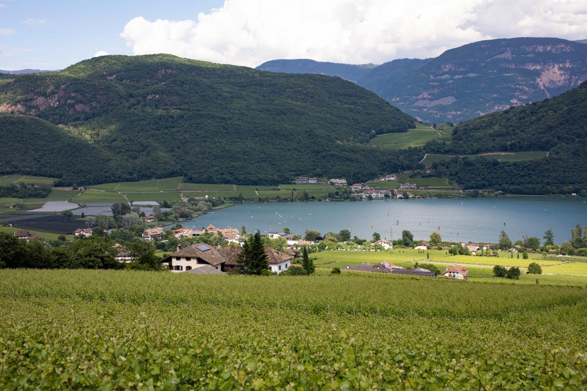 Apartamento Baron Di Pauli Caldaro sulla Strada del Vino Exterior foto