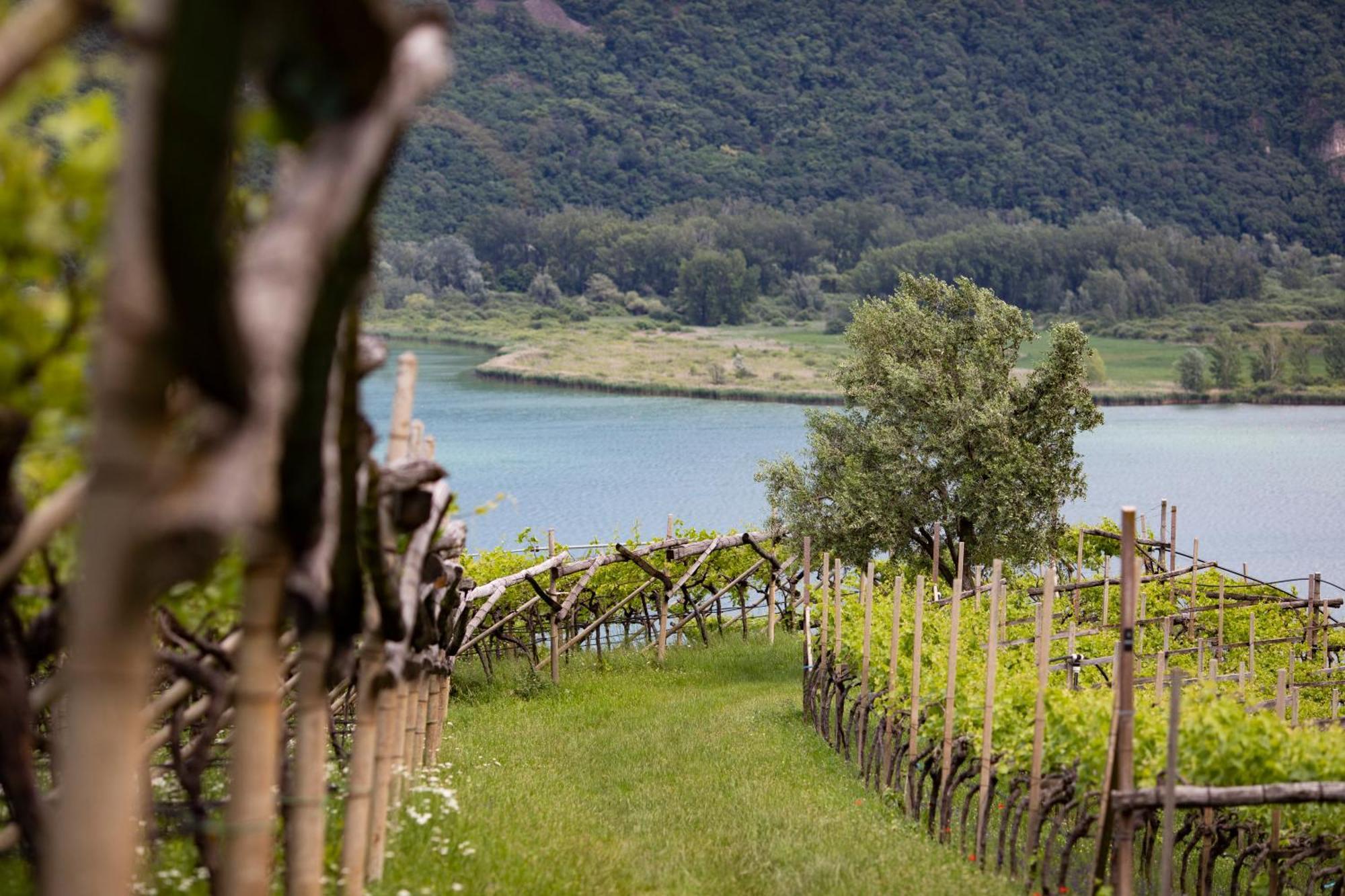 Apartamento Baron Di Pauli Caldaro sulla Strada del Vino Exterior foto