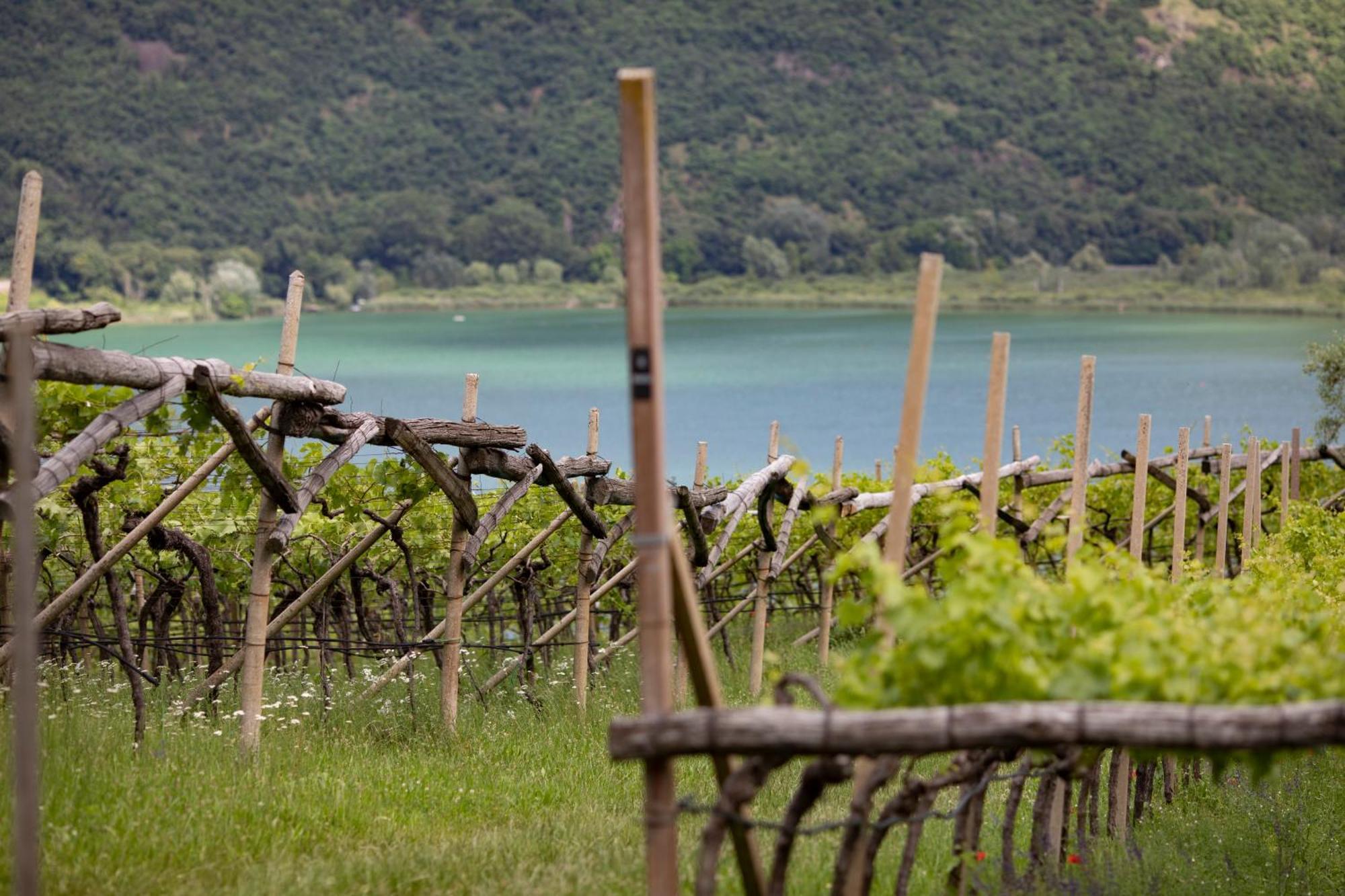 Apartamento Baron Di Pauli Caldaro sulla Strada del Vino Exterior foto