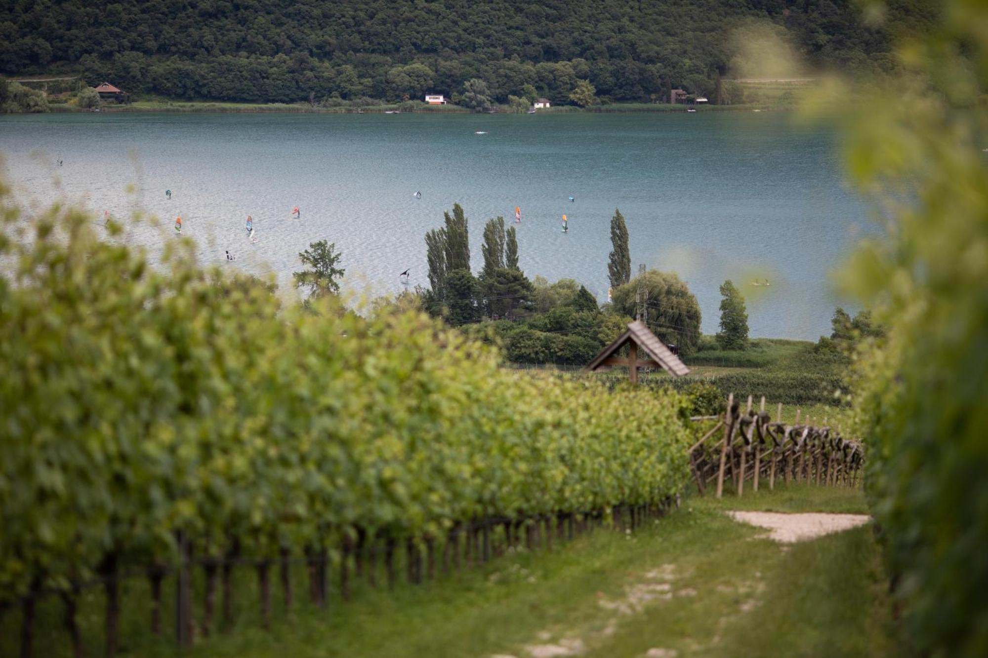 Apartamento Baron Di Pauli Caldaro sulla Strada del Vino Exterior foto
