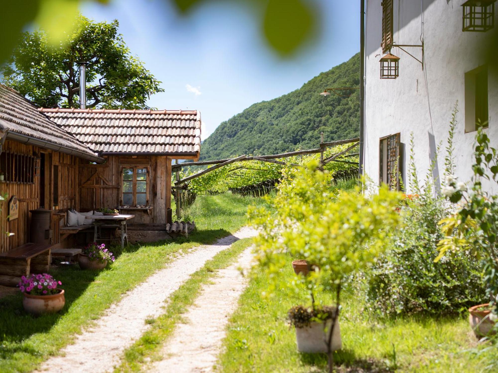 Apartamento Baron Di Pauli Caldaro sulla Strada del Vino Exterior foto
