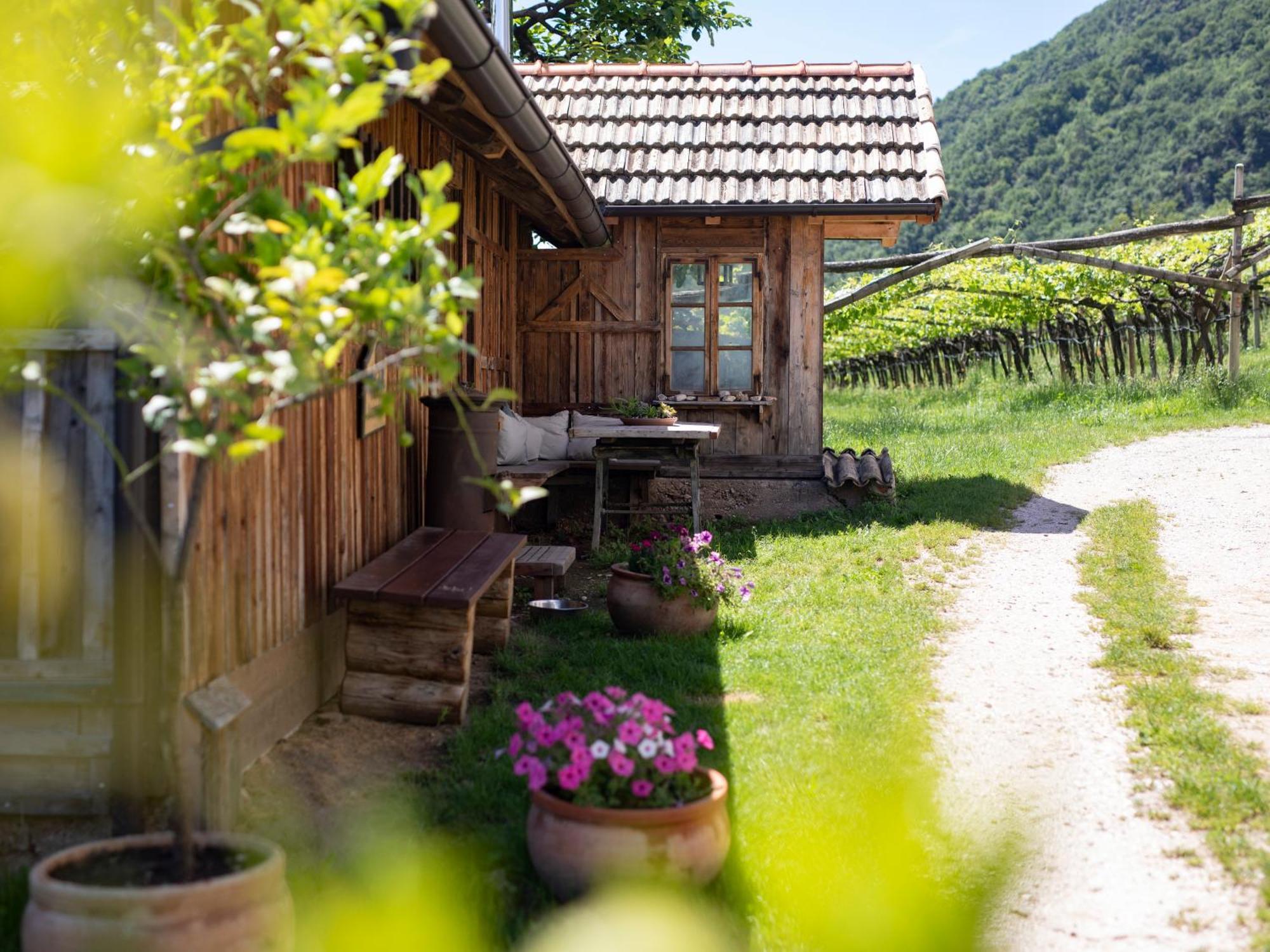 Apartamento Baron Di Pauli Caldaro sulla Strada del Vino Exterior foto