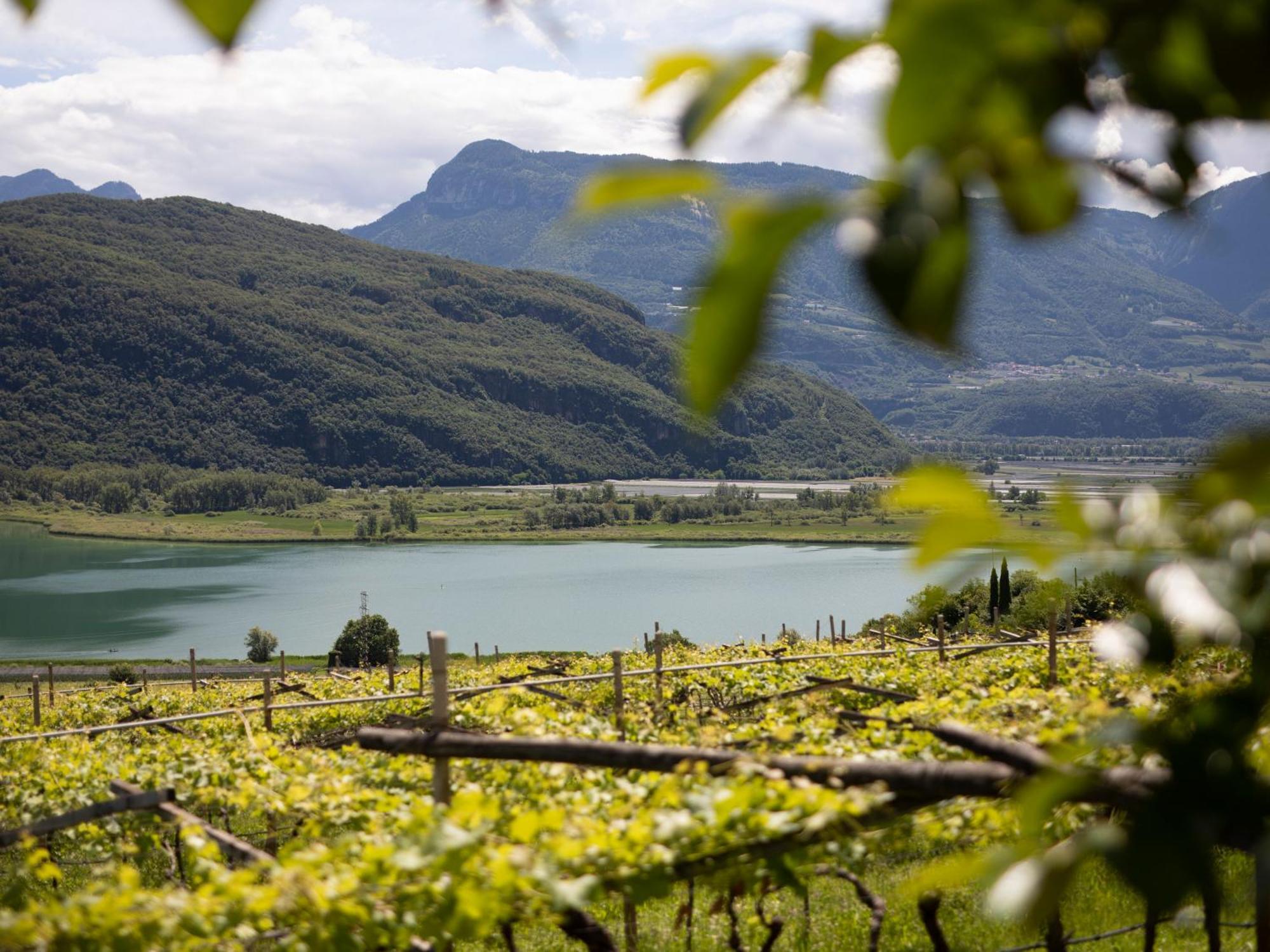 Apartamento Baron Di Pauli Caldaro sulla Strada del Vino Exterior foto
