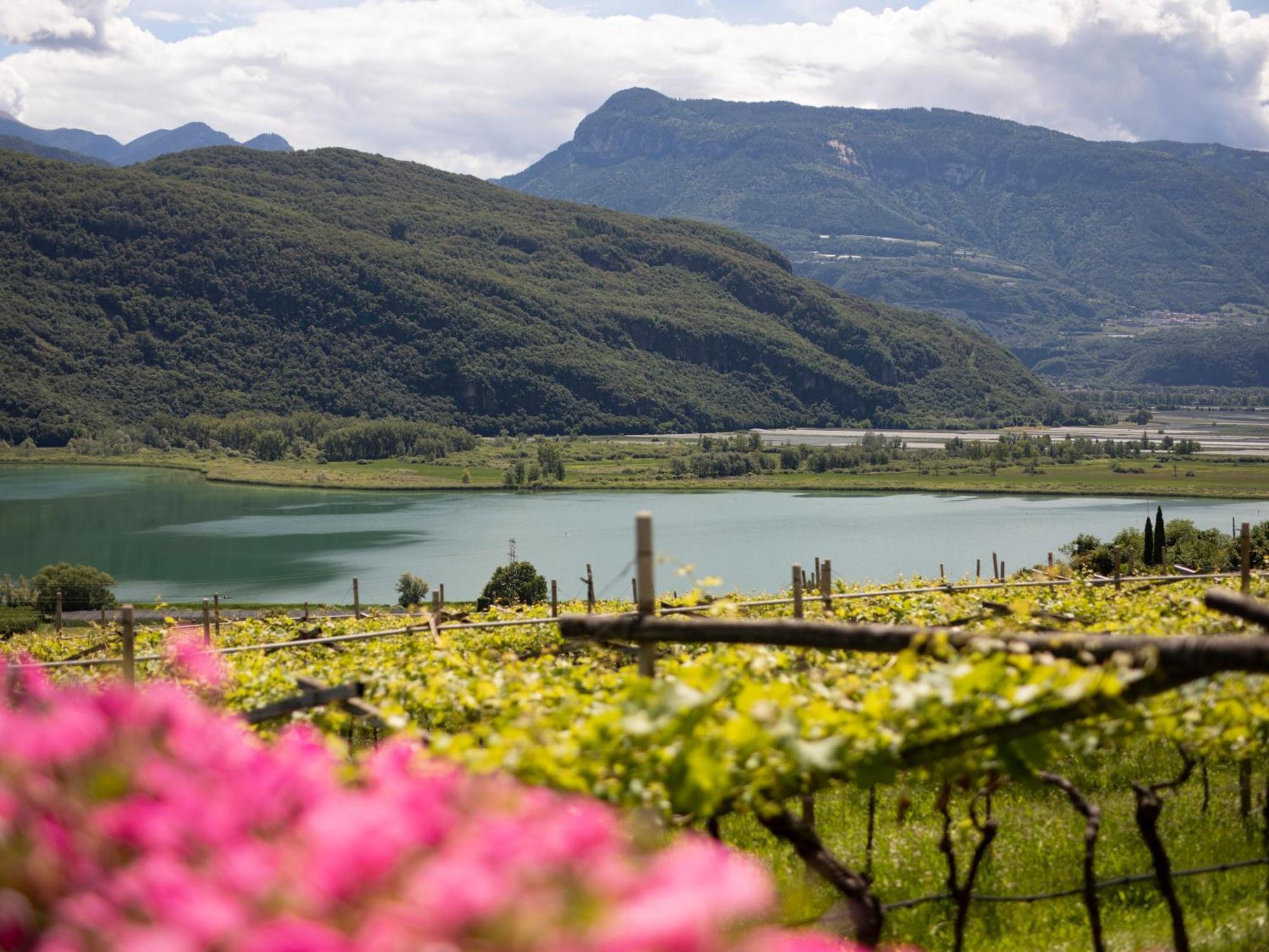 Apartamento Baron Di Pauli Caldaro sulla Strada del Vino Exterior foto