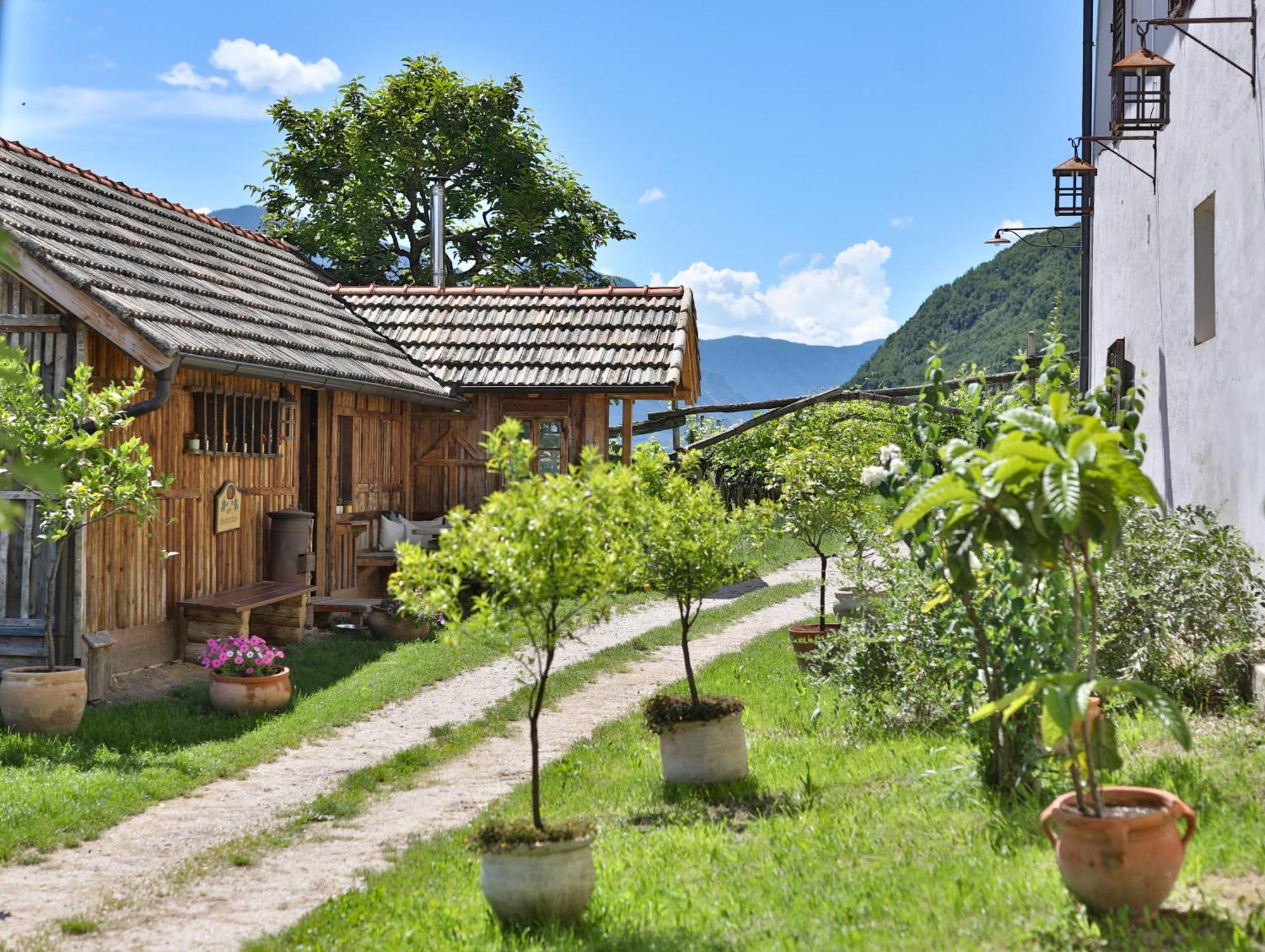 Apartamento Baron Di Pauli Caldaro sulla Strada del Vino Exterior foto