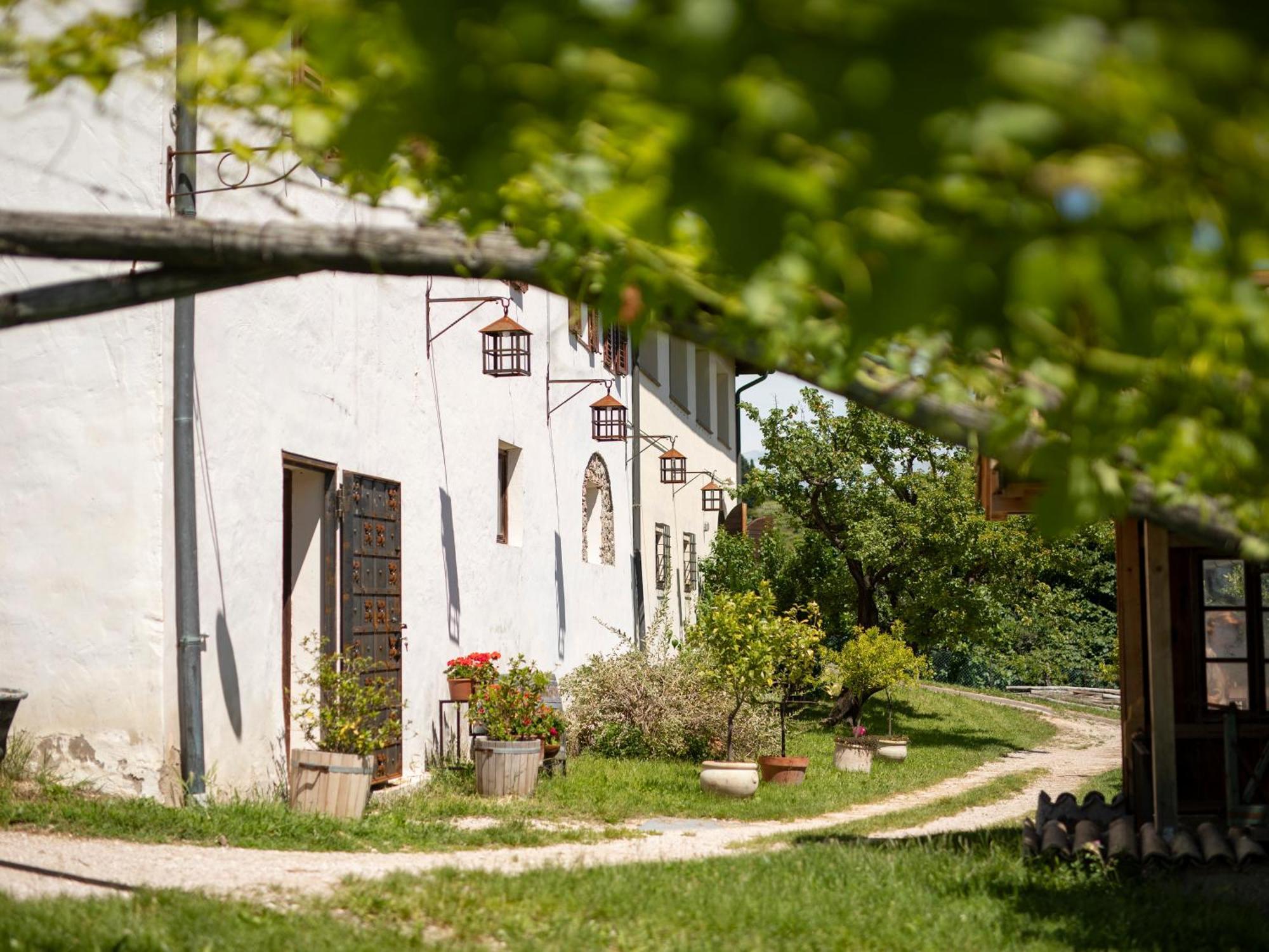 Apartamento Baron Di Pauli Caldaro sulla Strada del Vino Exterior foto
