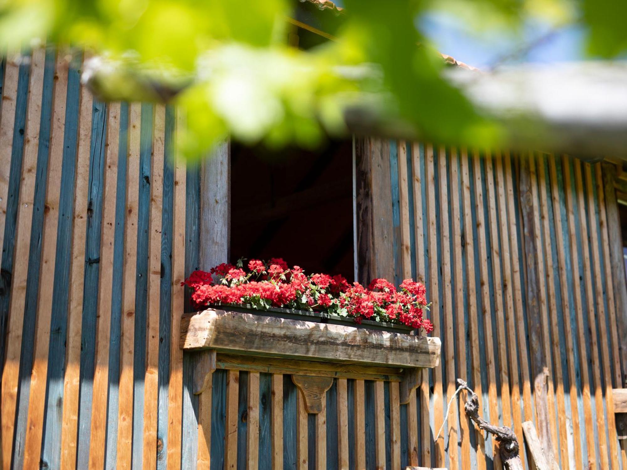 Apartamento Baron Di Pauli Caldaro sulla Strada del Vino Exterior foto