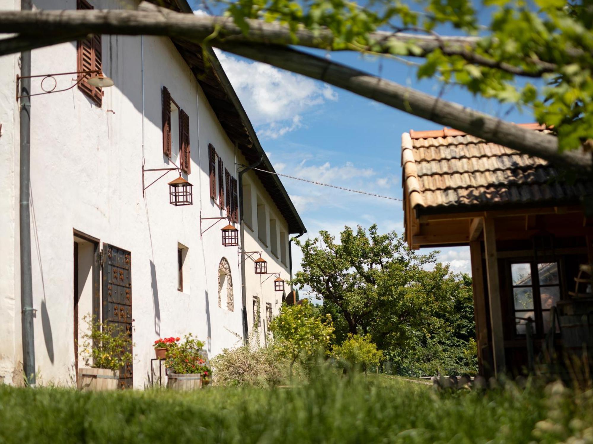 Apartamento Baron Di Pauli Caldaro sulla Strada del Vino Exterior foto