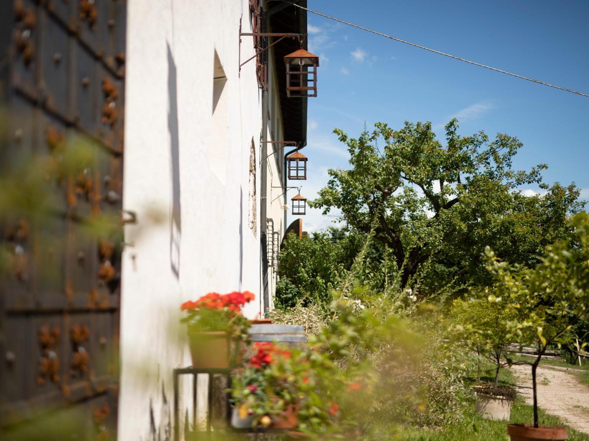 Apartamento Baron Di Pauli Caldaro sulla Strada del Vino Exterior foto