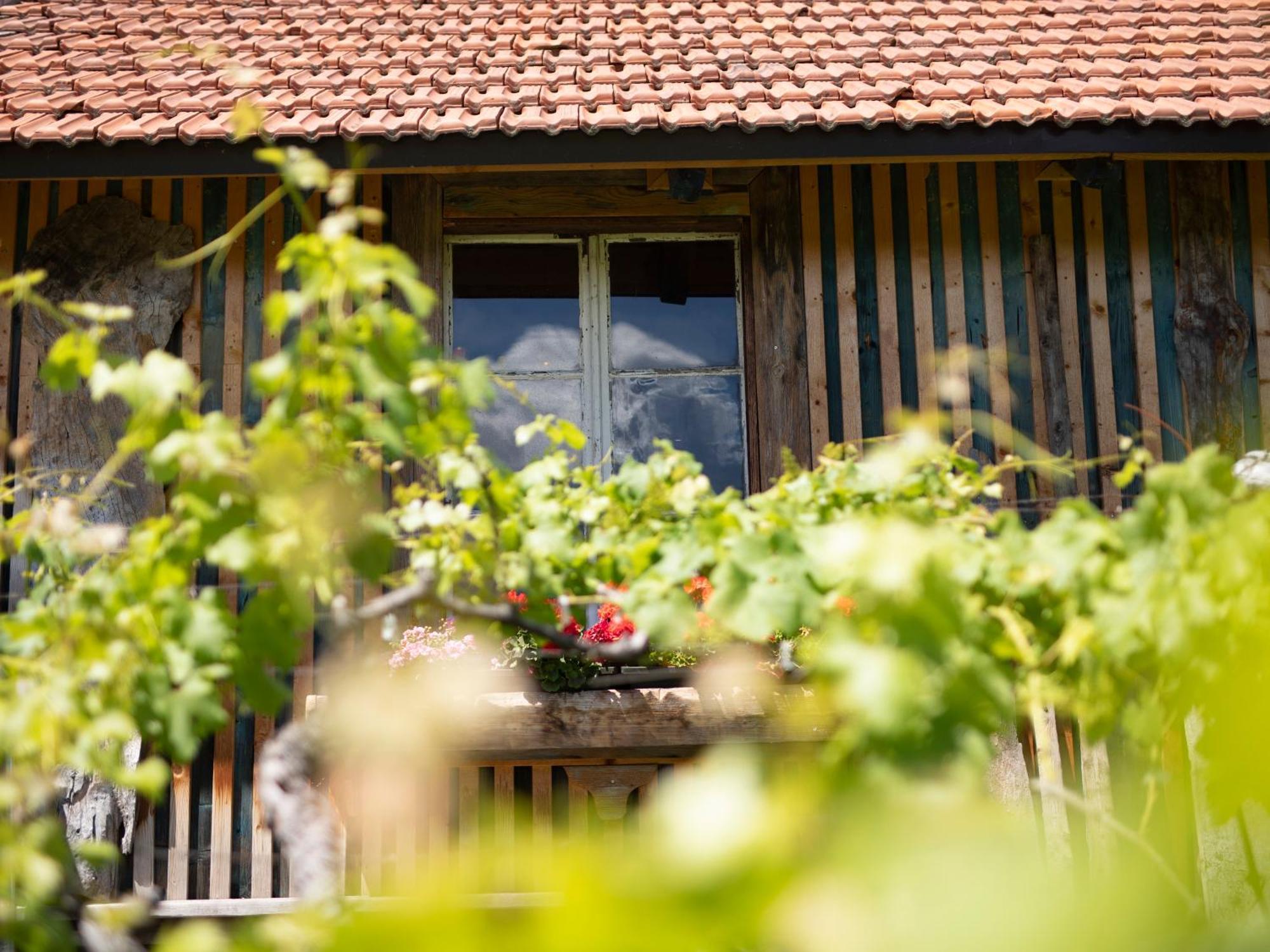 Apartamento Baron Di Pauli Caldaro sulla Strada del Vino Exterior foto