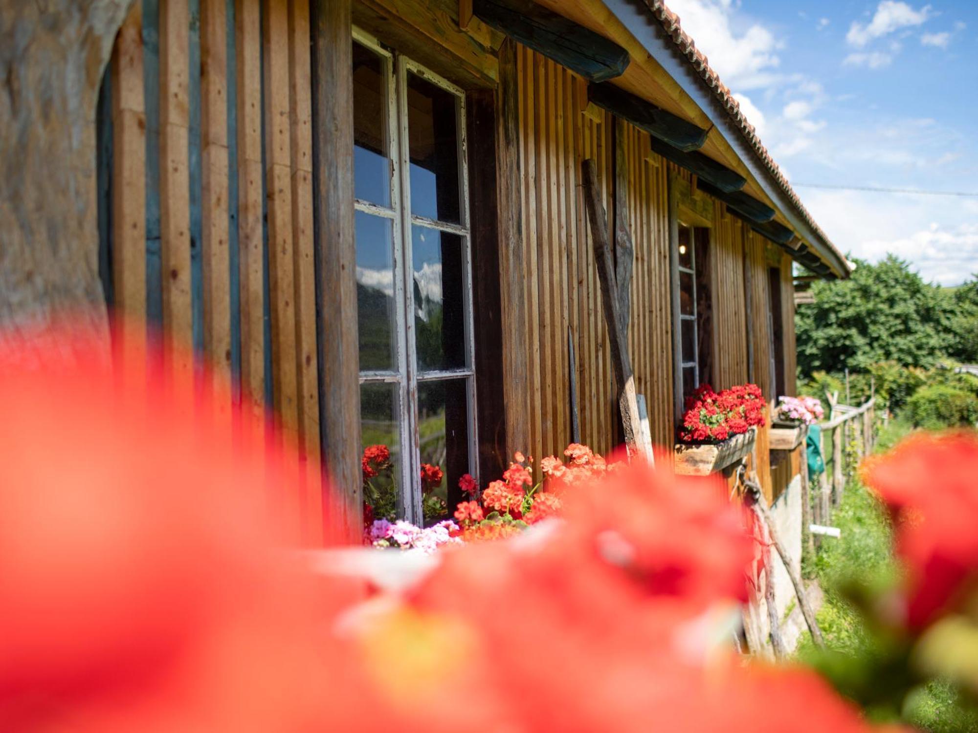 Apartamento Baron Di Pauli Caldaro sulla Strada del Vino Exterior foto
